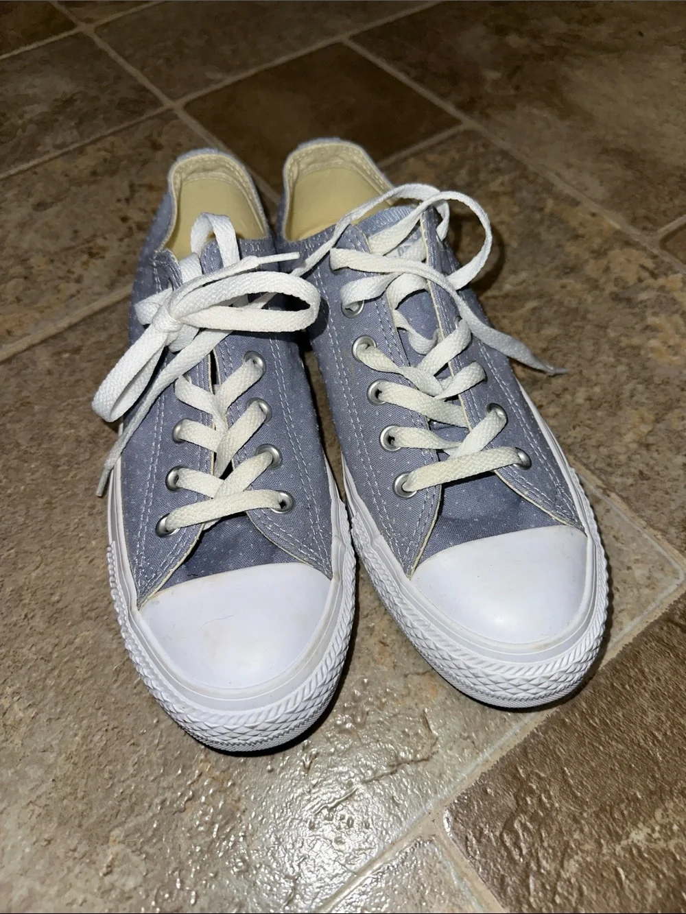 Converse Low-Top Canvas Sneakers